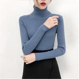 Long Sleeve Roll Knit Sweater (Blue)